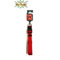 Medium/Large Dog Collar - 20mm x 22" clip fast red