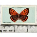 1927 Wills British Butterflies No. 19 Small Copper