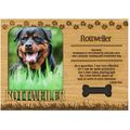 Rottweiler Engraved Wood Picture Frame Magnet