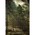 Posti: Torronsuo National Park - the Magic of t...