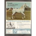 gleannloch farms 1972 sakr morafic arabian stud...