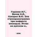 Gordeev I.G., Volov N.A., Kokorin V.A.: Electro...