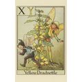 Yellow Deadnettle Fairy Of Vintage Book Flower ...