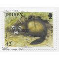 JERSEY 2007 POLECAT COUNTRYSIDE ANIMAL MAMMAL F...