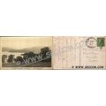 CT New Preston Postcard View From The Sachem La...