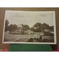 PARK, BELEM, PARA, BRAZIL unused vintage postca...