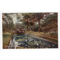 Central Park Dartford Postcard Kent