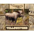 Yellowstone National Park Wildlife Collage Engr...