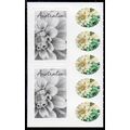 AUSTRALIA: 2024, OCCASIONS. DAHLIA, 2 MINT SELF...