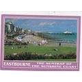 Eastbourne Carpet Gardens Sussex Postcard Poste...