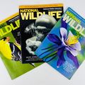 National Wildlife Magazine 2008-2009 3 Piece Lot