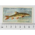 1933 Players Fresh-water Fishes, pink back No. ...