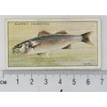 1933 Players Fresh-water Fishes, pink back No. ...