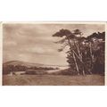 View From Tennysons Lane Freshwater Isle Of Wig...