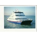Wightlink OUR LADY PAMELA Postcard by Nigh (CKI...