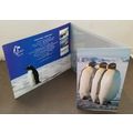 Malaysia Antarctic Research 2012 Penguin Bird F...