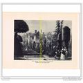 TOPIARY, LEVENS HALL, WESTMORLAND, BOOK ILLUSTR...