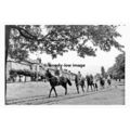 pt8096 - Beverley , Westwood Racehorses , Yorks...