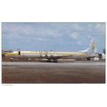 Lineas Aereas Sudamericana Canadair CL 44 D 4 A...