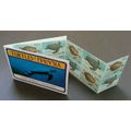 Malaysia Turtles 1995 Marine Life Ocean Underwa...