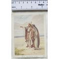 Vintage: Scholar's Lesson Pictures No. 2 The Fr...