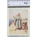 Vintage: Scholar's Lesson Pictures No. 3 The Ne...