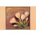 Crocus Brand West Highlands Citrus Association Advertising Postcard