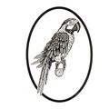 Oval Vinyl Car Decal Black & White Sticker - Macaw