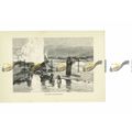 Hot Springs, Whakarewarewa, New Zealand, Book I...