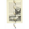 Queenstown & Lake Wakatipu, New Zealand, Book I...