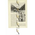 Mount Cook & Glacier, New Zealand, Book Illustr...