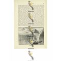 Milford Sound, New Zealand, Book Illustration (...