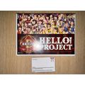 Hello! Project - 15th Anniversary Live 2013 Win...