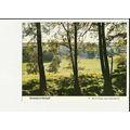 Yorkshire RAMSGILL Bluebells Postcard by Womens...