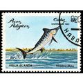 Cuba 1981 Fish 50c Used Stamp Marlin