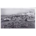 Sunken Gardens Brighton Sussex Postcard (SX75998)