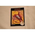 Dragonnel 1992 TSR 2nd Edition Dungeons & Drago...