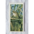1976 Craven Black Cat British Birds card No. 21...