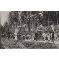 Singapore Chinese Funeral Procession Real Photo...