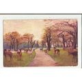 7262 LONDON Greenwich Park Deer Tuck Oilette Po...