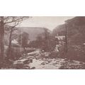 Myrtleberry Devon Mailing Novelty Miniature Pho...