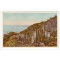 Lord Antrims Parlour Giants Causeway Postcard C...