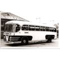 Black & White Photograph of A. Timpson & Sons L...
