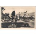 67 - Strasbourg - Orangerie