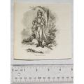 1860s engraving - Grand Falconer