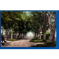 Postcard Ducie Walk Bembridge IOW Isle Of Wight...