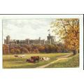 Berkshire WINDSOR CASTLE Salmon Art Postcard by...