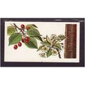Brooke Bond Tea Card, Trees in Britain, no.22 W...