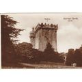 Blarney Castle Cork Irish Postcard (IRE72208)