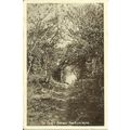 Yorkshire HAYBURN WYKE Lovers Retreat Postcard ...